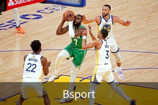 Bsport公司介绍图